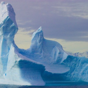 Icebergs in Antactica