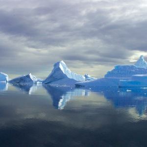 Icebergs in Antactica