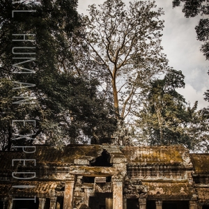 shoultz-scuba-cambodia-reefs-ruins-34