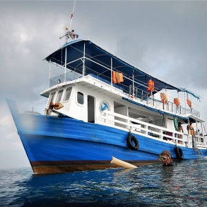 shoultz-scuba-cambodia-reefs-ruins-15