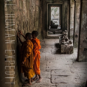 shoultz-scuba-cambodia-reefs-ruins-33