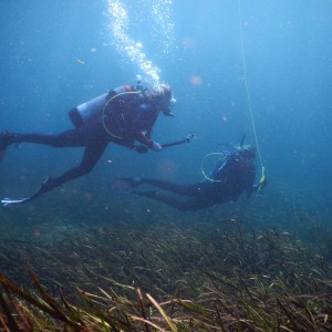 shoultz-scuba-open-water-divers